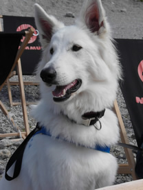 Nola auf dem Karwendel